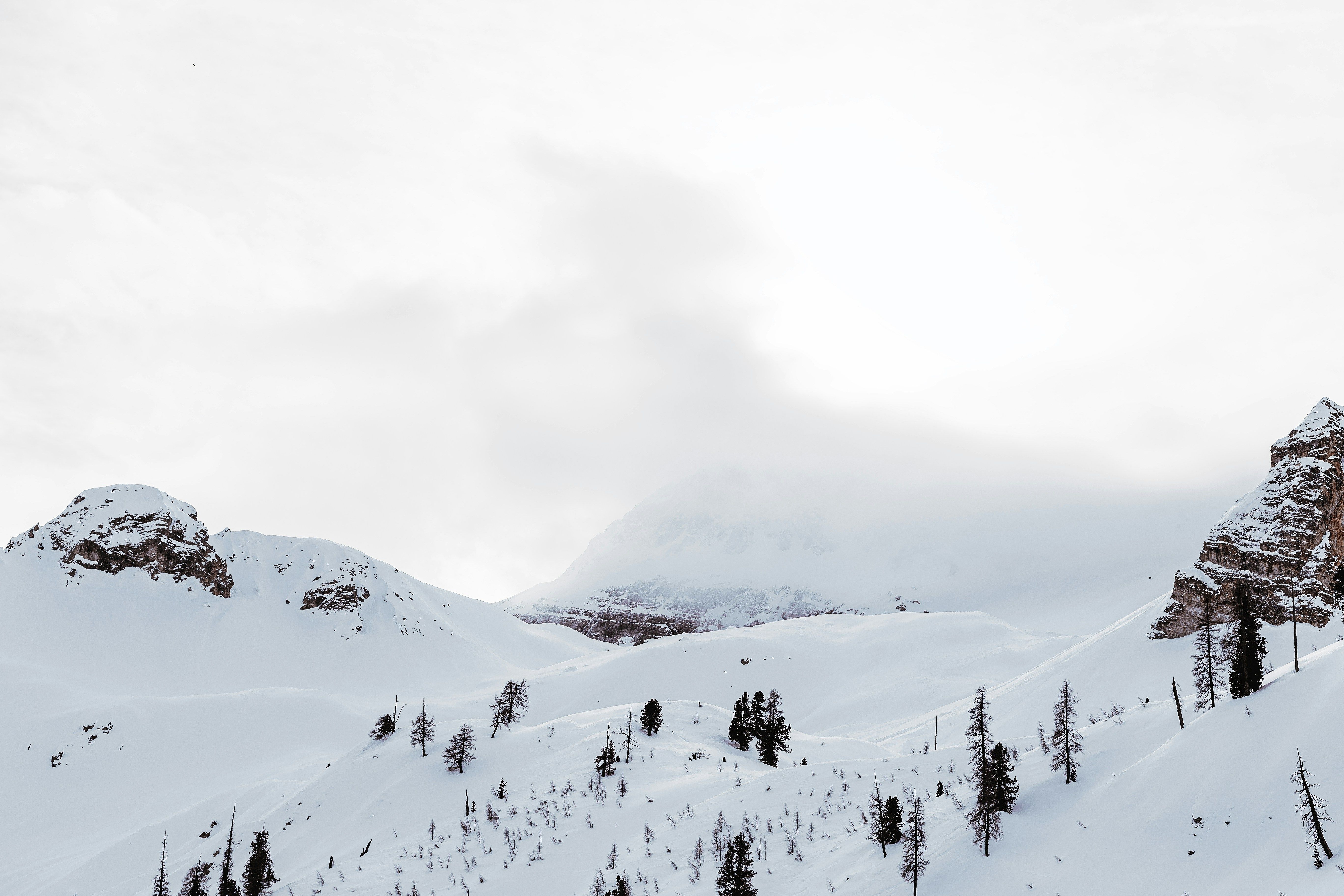 a snow covered mountain with trees on the side